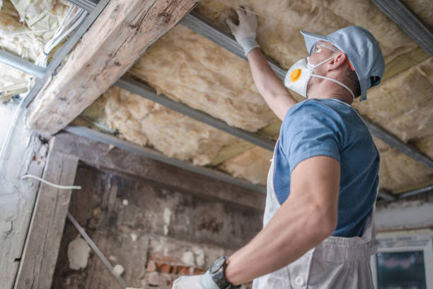 Professional Insulation Contractor in Severn, MD